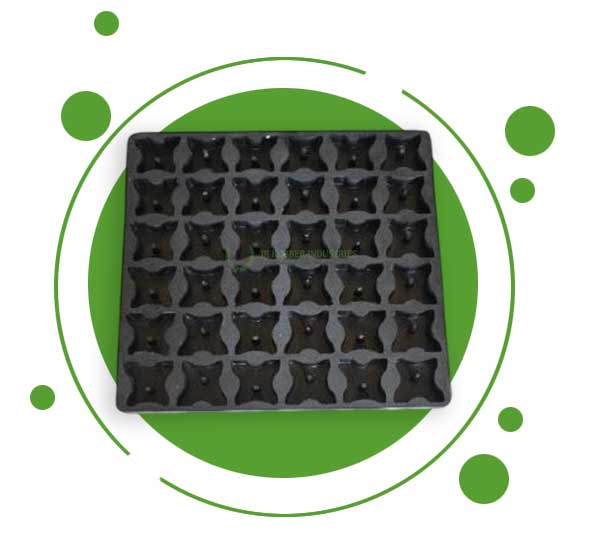 Cover Block 7